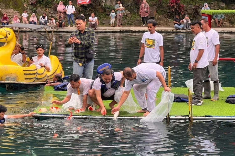 irfan hakim tebar ikan koi di situ cipanten majalengka