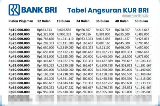 Tabel Pinjaman KUR BRI. Foto: Mureks - compleatthought.com